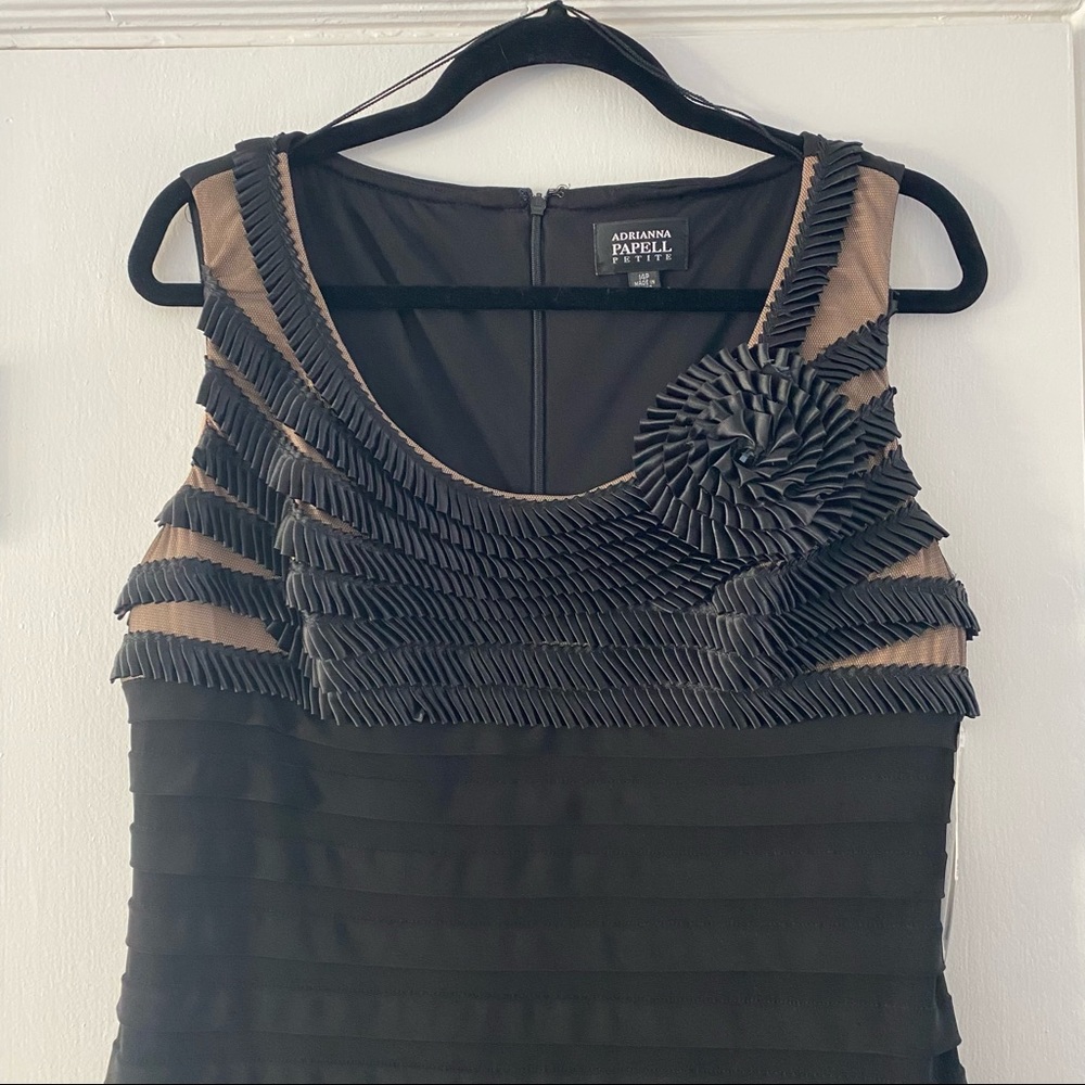 Black Dress with Mesh/Nude Stripes